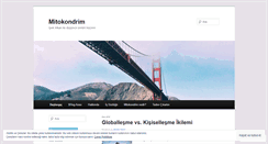 Desktop Screenshot of ipekalkan.com